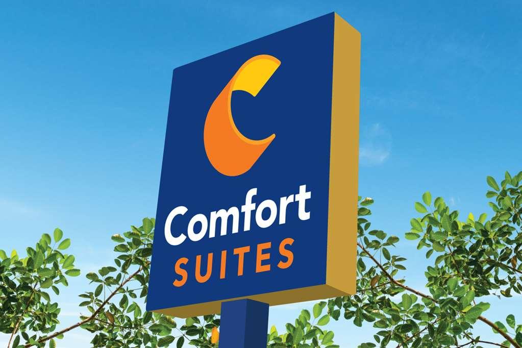 Comfort Suites Gainesville Near University Ngoại thất bức ảnh